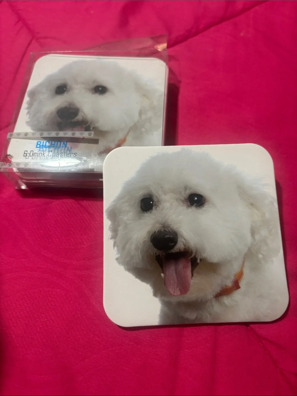 White Bichon Frise Dog Coasters — Pack of 6